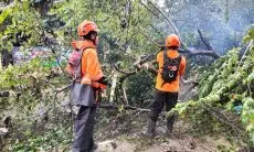 Kota Bogor Dihuyur Hujan Sehari Semalam, Satu Rumah Ambruk dan Beberapa Pohon Bertumbangan