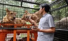 Safari Journey di Spot Satwa Buas TSI Bogor, Ingat Jangan Lakukan Ini!!
