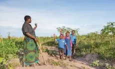 GSK Fokus Restorasi Mangrove 2.600 Hektare di Indonesia hingga 2030