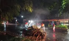 Kota Bogor Dilanda Pohon Tumbang Hingga Rumah Ambruk Selama Sepekan