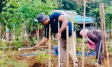 Inspiratif, Kelompok Tani Beranggotakan Disabilitas di Cimahi Sukses Raup Cuan dengan Cara Ini