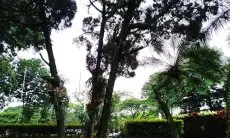 Prakiraan Cuaca Jawa Barat Hari Ini 10 Juli 2026: Waspada Angin Kencang!