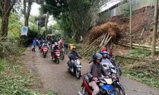 Akibat Diterpa Hujan dan Angin Kencang, Bongkahan Pohon Bambu Longsor Menutup Jalan Kolmas Cisarua 