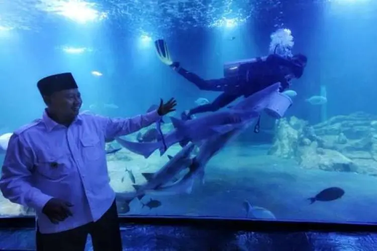 Uu Ruzhanul Ulum Optimistis Aquarium Raksasa di Pangandaran Bakal Populer