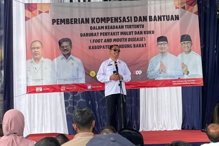 1.600 Peternak di KBB Terima Bantuan Ganti Rugi PMK, Dirjen PKH: KBB Mencapai 3.000 Lebih Ternak yang Mati