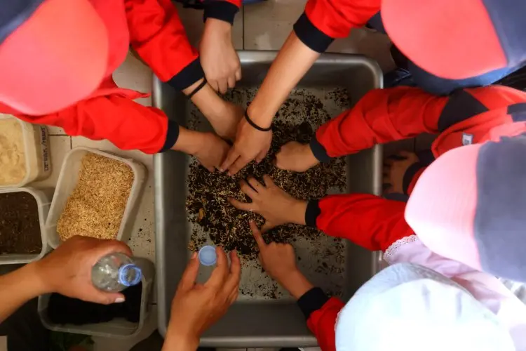 FOTO: Kunjungan Lapangan Siswa DHIS Primary Ke Sekolah Kang Pisman