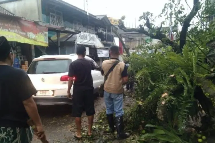 BMKG Bandung: Beberapa Hari ke Depan Warga Bandung Raya Diminta Waspadai Angin Kencang
