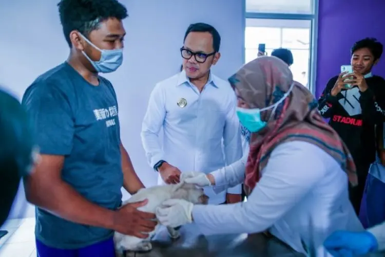 DKPP Kota Bogor Layani Pemberian Vaksin dan Vitamin Hewan hingga Inseminasi Buatan