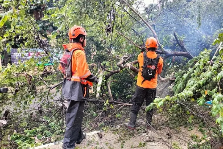 Kota Bogor Dihuyur Hujan Sehari Semalam, Satu Rumah Ambruk dan Beberapa Pohon Bertumbangan