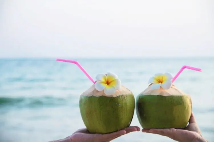 Air Kelapa Ternyata Sangat Bagus Untuk Kesehatan Kulit Wajah, Apa Saja Khasiatnya?