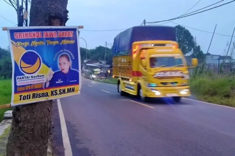 Bawaslu Kabupaten Bandung Sesalkan Alat Sosialisai Caleg dan Partai Politik Dipaku di Pohon