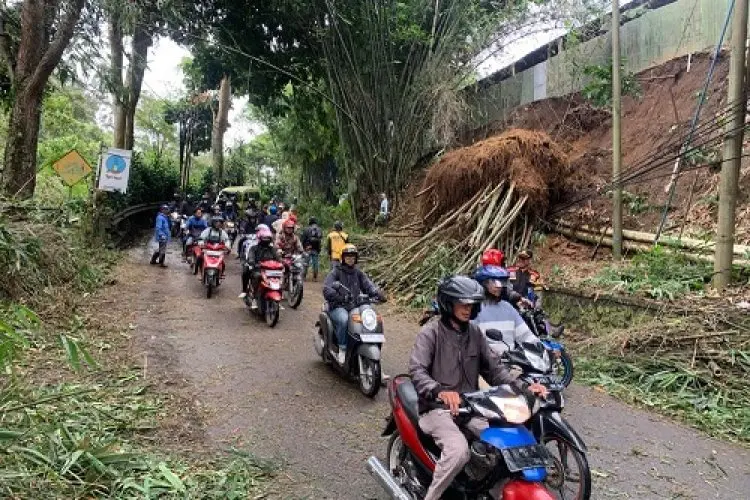 Akibat Diterpa Hujan dan Angin Kencang, Bongkahan Pohon Bambu Longsor Menutup Jalan Kolmas Cisarua 