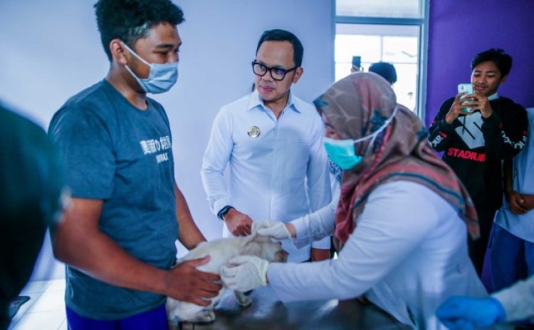 DKPP Kota Bogor Layani Pemberian Vaksin dan Vitamin Hewan hingga Inseminasi Buatan