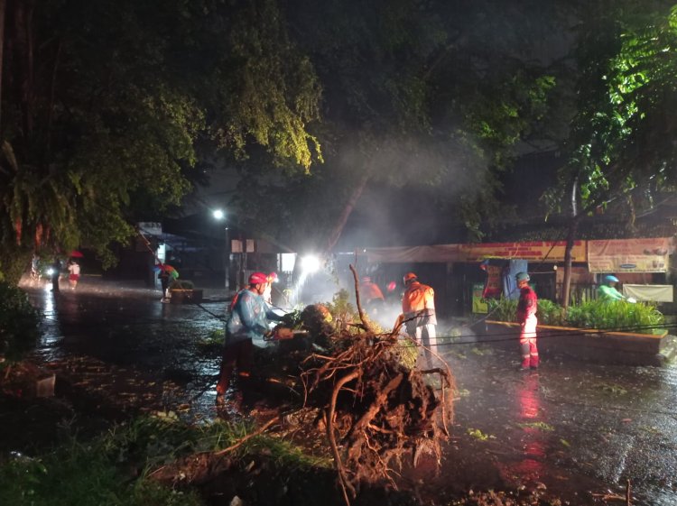 Kota Bogor Dilanda Pohon Tumbang Hingga Rumah Ambruk Selama Sepekan