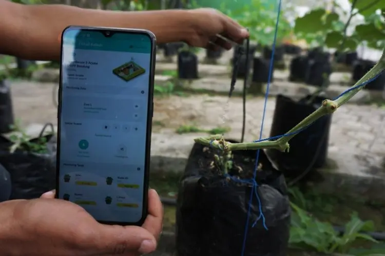 Foto: Dorong Penerapan Digitalisasi Bidang Pertanian di Kota Bandung
