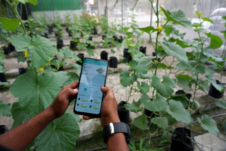 Foto: Dorong Penerapan Digitalisasi Bidang Pertanian di Kota Bandung