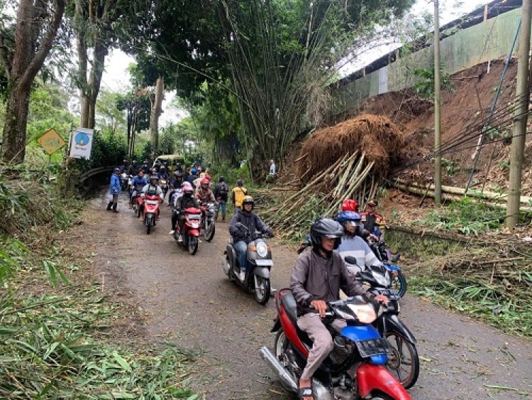 Akibat Diterpa Hujan dan Angin Kencang, Bongkahan Pohon Bambu Longsor Menutup Jalan Kolmas Cisarua 