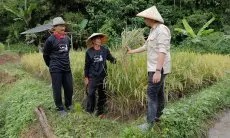 Maksimalkan Lahan Gambut, GMP Bina Kelompok Tani di Garut