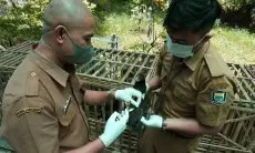 FOTO: Pencegahan Penularan Virus Flu Burung di Kota Bandung