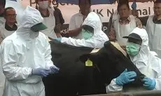 Kasus Suspek LSD Pertama di KBB Ditemukan, Dispernakan Minta Peternak Gak Khawatir 