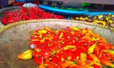 Harga Cabai Rawit di KBB Meroket, Kadisperindag Ungkap Alasannya
