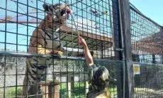 Selama Ramadan, Taman Satwa Cikembulan Garut Tutup untuk Fokus Perawatan Satwa
