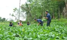 Peringati Hari Air Sedunia, Danone-AQUA Beberkan Rahasia Pengelolaan Sumber Air