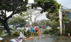 Sejumlah Pohon Tumbang Akibat Hujan Deras Disertai Angin Kencang