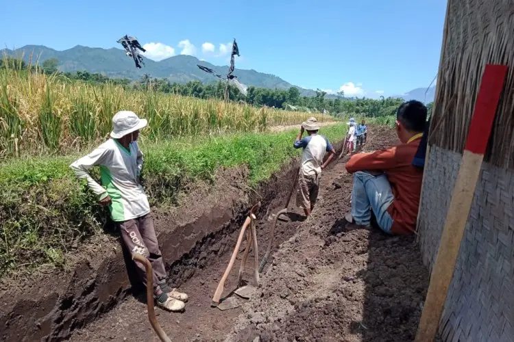 Pertumbuhan Ekonomi Jabar Menguat di Akhir 2025, Dedi Mulyadi Apresiasi Peran RT/RW