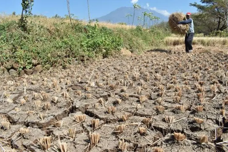 Memasuki Peralihan Musim, Masyarakat dan Pemerintah Diminta Waspada