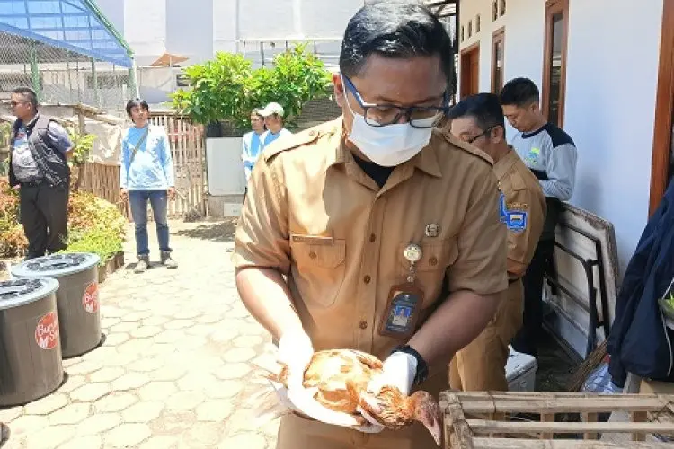 Ratusan Ternak Unggas di Kota Bandung Telah Mendapat Vaksin Flu Burung