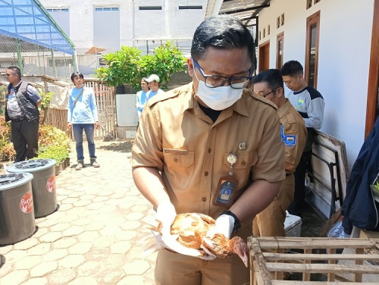 Ratusan Ternak Unggas di Kota Bandung Telah Mendapat Vaksin Flu Burung