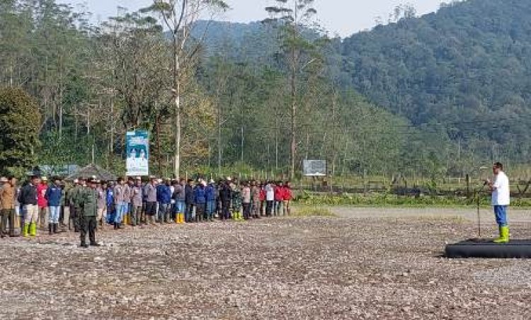 Tanah Rawa di Objek Wisata Rancaupas Ditanami Ribuan Pohon dan Kembali Dibuka untuk Pengunjung