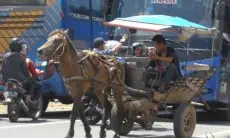5.000 Pengemudi Angkutan Tradisional di Jabar Terima Kompensasi Rp1,4 Juta