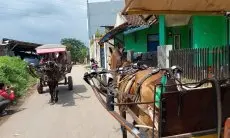 Pemprov Jabar Buka Peluang Kompensasi Bagi Angkutan Tradisional