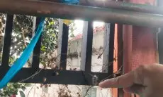 Bikin Resah, Rumah Warga di Cilame Diserbu Ulat Alpukat 