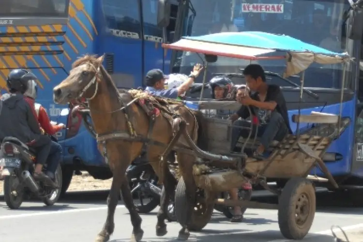 5.000 Pengemudi Angkutan Tradisional di Jabar Terima Kompensasi Rp1,4 Juta