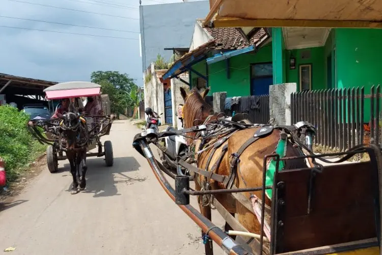 Selama Mudik, Operasional Delman di KBB Dibatasi