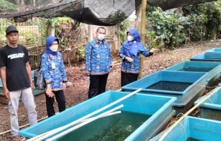 DKPP Kejar Target Peningkatan Konsumsi Ikan di Kota Bogor, Ini Langkahnya 