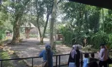 Hari Terakhir Libur Lebaran, Kebun Binatang Bandung Ramai Dikunjungi Wisatawan
