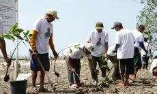Relawan Ganjar Tanam Mangrove dan Berikan Bantuan Lampu Pada Para Nelayan