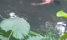 Disangka Manekin, Warga Leuwigajah Geger dengan Temuan Mayat Tanpa Busana di Sungai Cisangkan