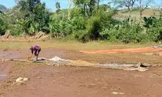 Dampak Banjir Bandang di Desa Mekarwangi, Petani dan Pengusaha Kopi Rugi hingga Ratusan Juta