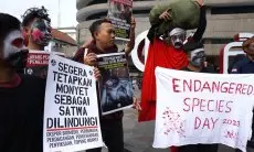 FOTO: Aksi Peringatan Hari Spesies Terancam Punah