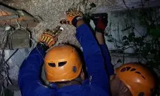 Damkar Evakuasi Sarang Tawon Jumbo di Sekretariat PWI KBB
