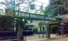 Pemkot Bandung Terima Enam Bangunan Rampasan Negara di Kebun Binatang Bandung