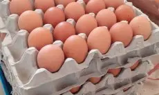 Harga Telur Merangkak Naik di Sejumlah Pasar Tradisional di KBB, Warga Kurangi Konsumsi Telur 