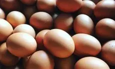 Harga Telur Meroket, Dispernakan KBB Ungkap Faktor Pemicunya 