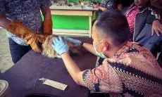 Perangi Virus Flu Burung dan Rabies, Dispangtan Kota Cimahi Berikan 1.900 Vaksin Secara Gratis 