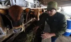 Ikut Program Petani Milenial, Muhammad Faqih Ibrahim Semringah Omsetnya Capai Ratusan Juta per Bulan